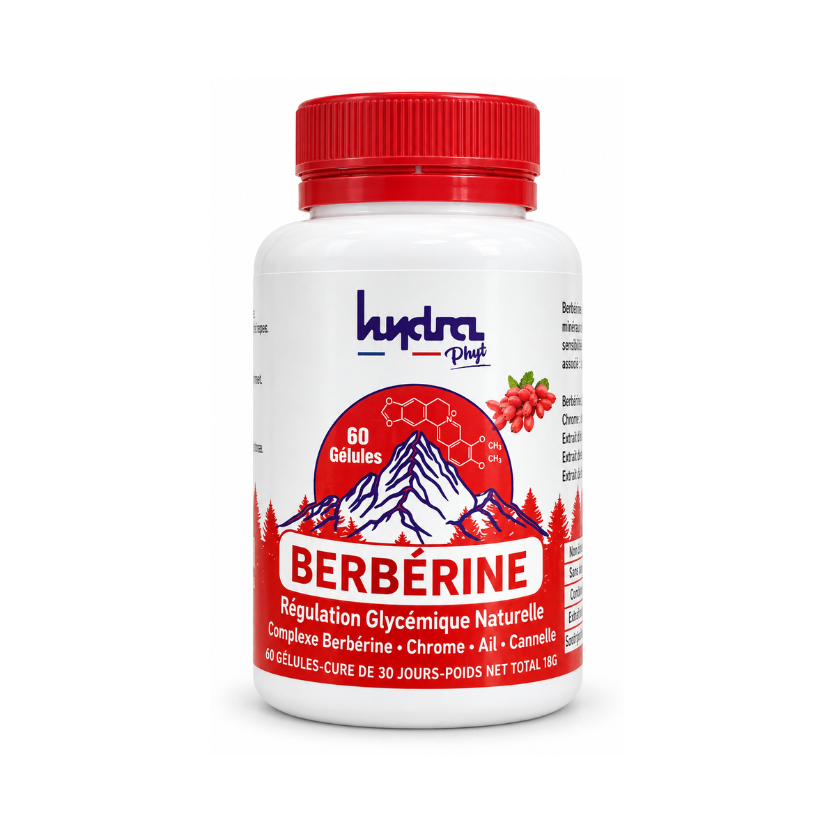 Berbérine Hydra Phyt – 60 gélules