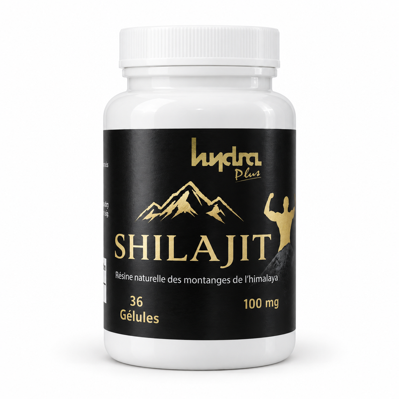 Shilajit au Maroc – guide qualité et composition