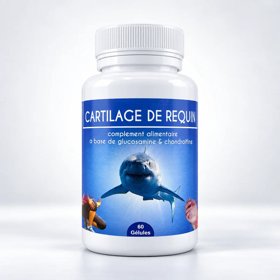 Cartilage de Requin Hydra Plus – flacon de 60 gélules sur fond studio clair